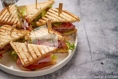 Image of Tasty and fresh club sandwich served on white ceramic plate
