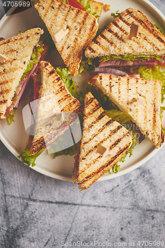 Image of Tasty and fresh club sandwich served on white ceramic plate