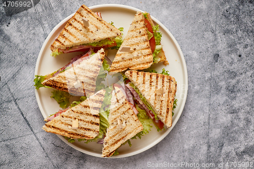 Image of Tasty and fresh club sandwich served on white ceramic plate