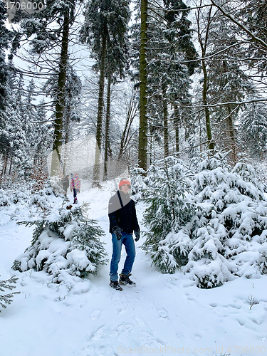 Image of Boy in winter forest