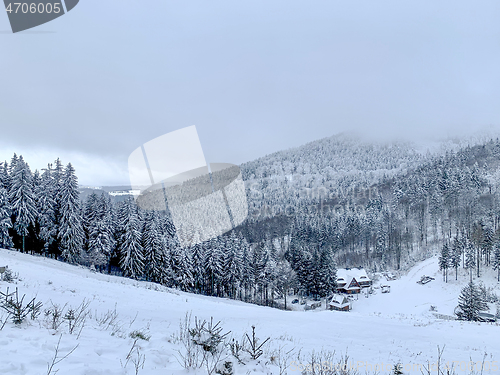 Image of Winter forest covered by snow