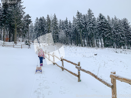 Image of Girl with sled in winter forest