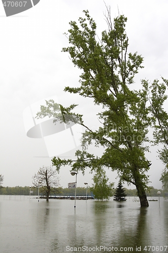 Image of River Danube flood