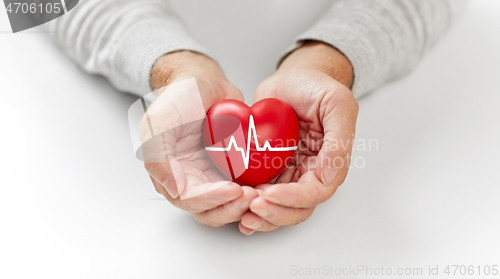 Image of senior man holding red heart with ecg line