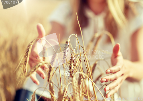 Image of close up of woman hands in cereal field