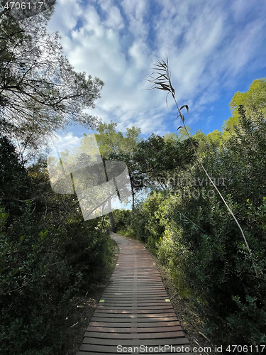 Image of A path to enjoy solitude and silence