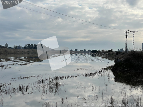 Image of Rice farmland in El Palmar, Spain