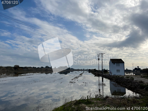 Image of Rice wetlands of El Palmar, Valencian countryside