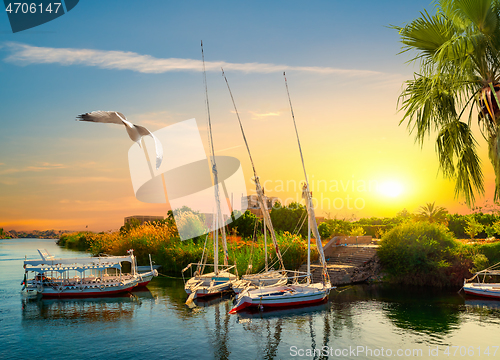 Image of Boats on the Nile River