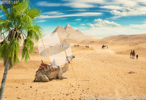 Image of Sandy desert in Egypt