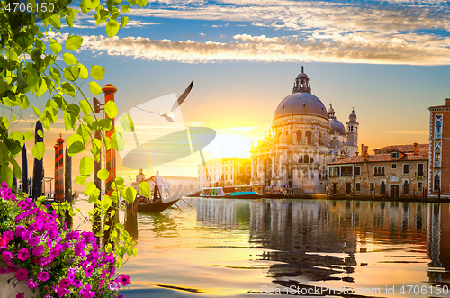 Image of Grand canal and flowers