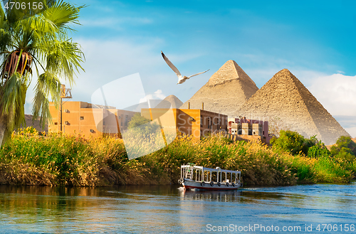 Image of Pyramids near Nile River