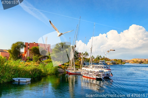 Image of Felucca on Nile River