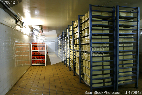Image of cheese storage in dairy