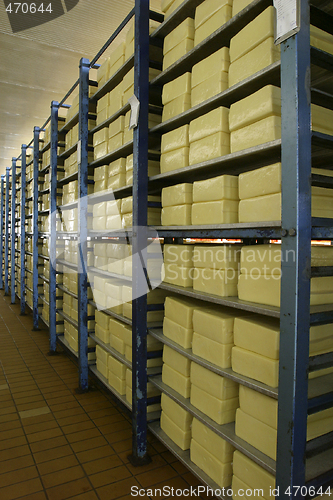 Image of cheese storage in dairy