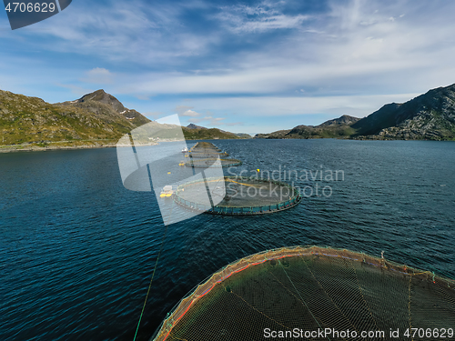 Image of Farm salmon fishing in Norway