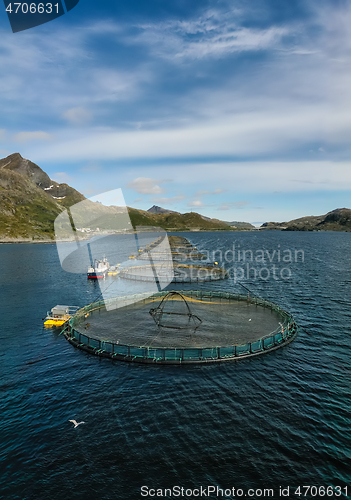 Image of Farm salmon fishing in Norway