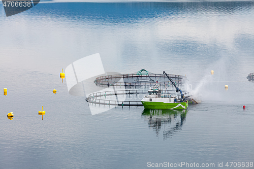 Image of Farm salmon fishing in Norway