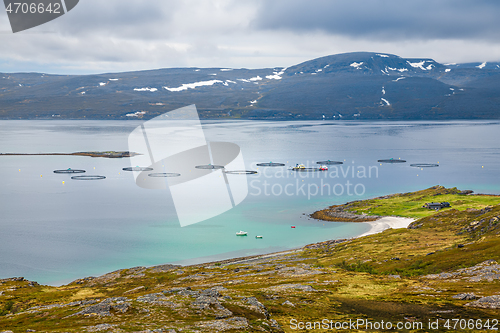 Image of Farm salmon fishing in Norway