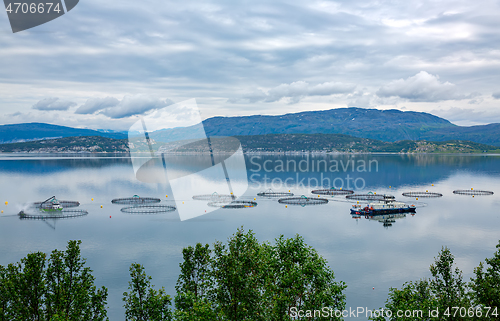 Image of Farm salmon fishing in Norway