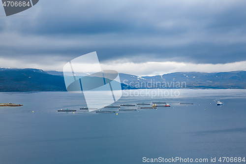 Image of Farm salmon fishing in Norway