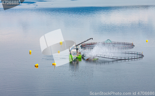 Image of Farm salmon fishing in Norway