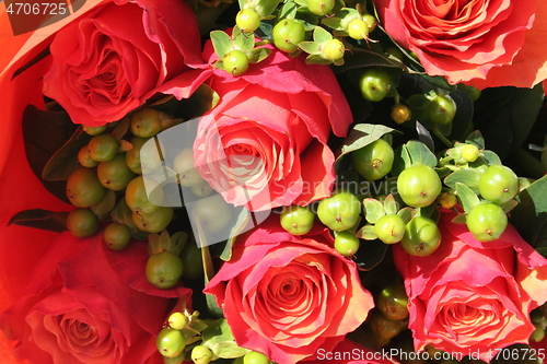 Image of Roses