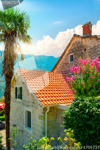 Image of Red roofs in Kotor