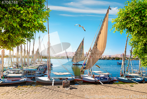 Image of The sailboats in Aswan