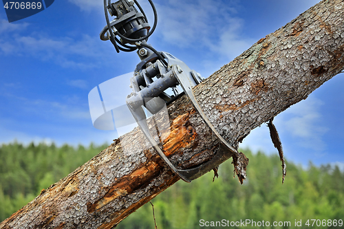 Image of Log Loader Lifting Timber Log