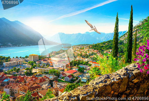 Image of Boka Kotor bay