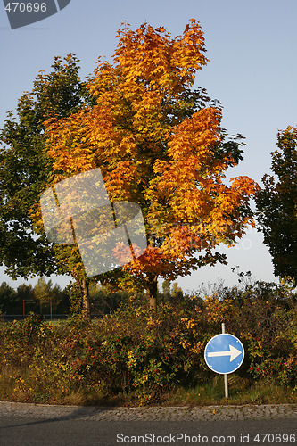 Image of This way