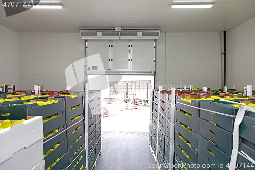 Image of Produce Storage Door