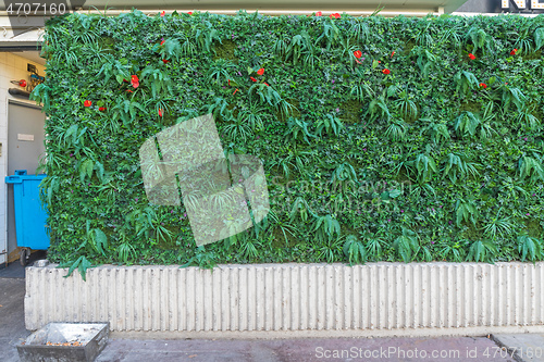 Image of Artificial Green Hedge
