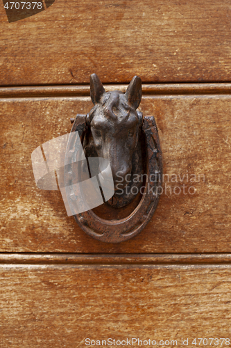 Image of Ancient italian horse shaped door knocker on wooden brown door.