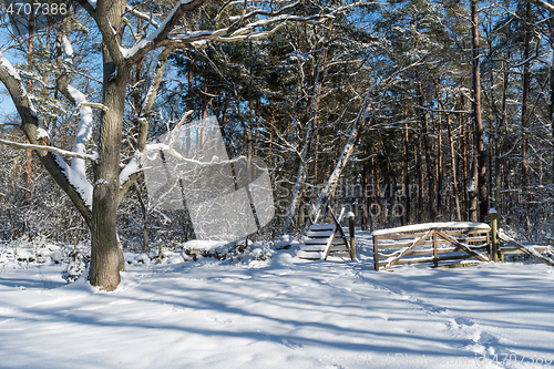 Image of Stile and gate into a forest