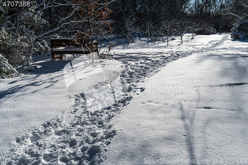 Image of Winding footpath in a snowy landscape