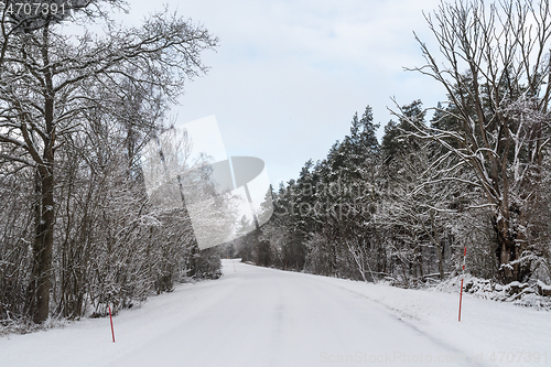 Image of Snow stakes by a winding road