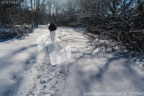 Image of Woman walking on a snowy trail