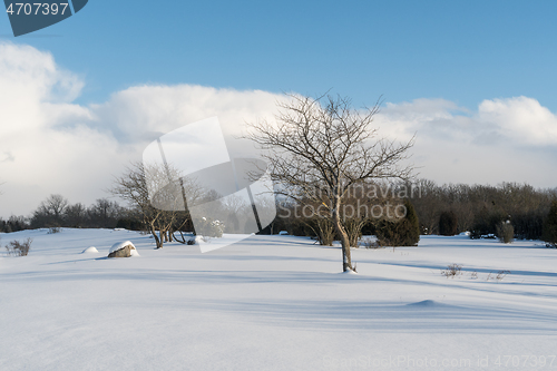 Image of Untouched winter landscape