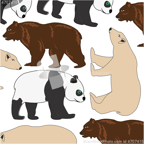 Image of White and brown bear and panda decorative pattern