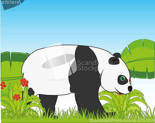 Image of Panda bear on background of the year nature