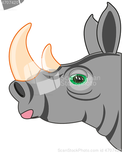 Image of Portrait animal rhinoceros on white background is insulated