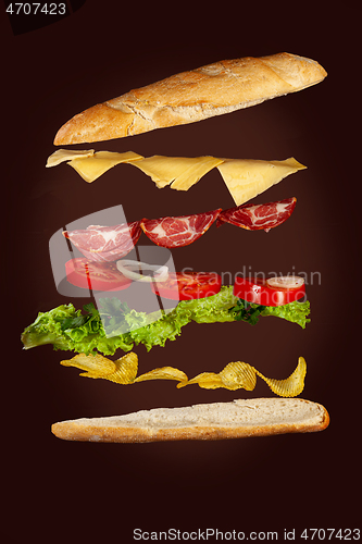 Image of Big Sandwich Levitating