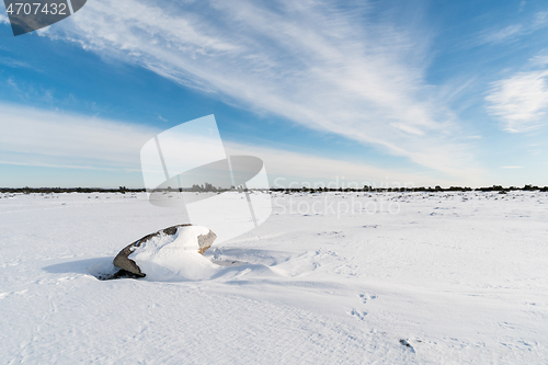Image of Winter view in a great plain landscape