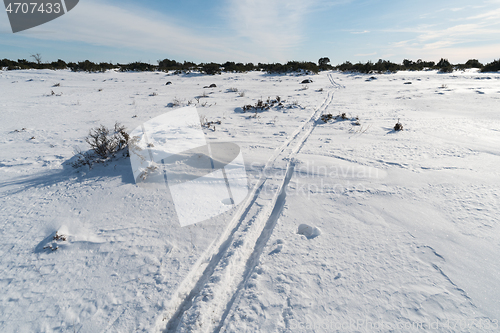 Image of Ski tracks in a great plain landscape