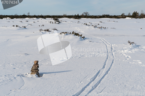 Image of Ski tracks in a marked pathway