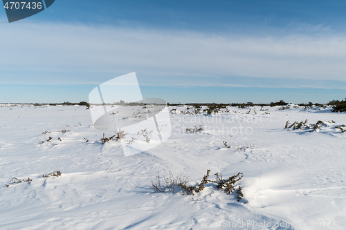 Image of Winter in the World Heritage Stora Alvaret in Sweden