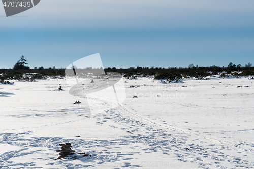 Image of Ski tracks in a marked lane