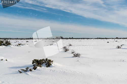 Image of Winter season in a wide open great landscape